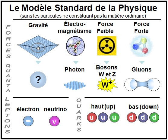 Schéma simplifié du Modèle Standard présentant les forces fondamentales et les familles de particules, incluant bosons, leptons et quarks.