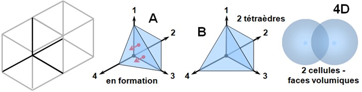 Illustration de la structure 4D : empilement de deux tétraèdres formant une cellule en 4 dimensions, représentation d’un cube 4D, d’une cellule en formation (A), de deux tétraèdres fusionnés (B), et de deux cellules sphériques partageant une face volumique.