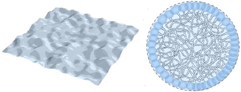 Illustration montrant deux régions distinctes reliées par une structure interne continue, avec une vue de surface et une vue interne du réseau.