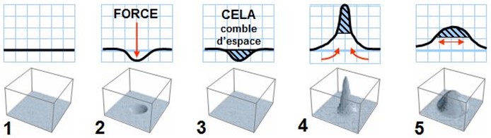 Séquence en cinq étapes montrant l’inflaréaction : creux de densité, surcompensation, surpression puis onde cohérente stabilisée.