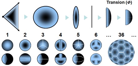 Illustration des différents types de transions selon le nombre de spations transférés simultanément, de 1 à 36, représentés par des structures de passage sphériques.