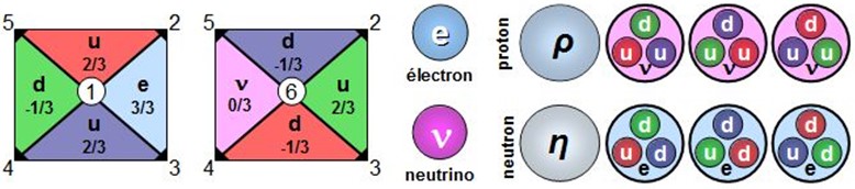 Configurations dimensionnelles du proton et du neutron