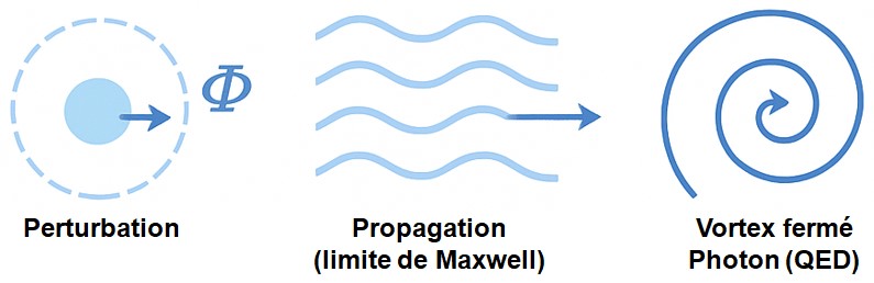 Perturbation, propagation ondulatoire et fermeture en vortex du champ Φ.