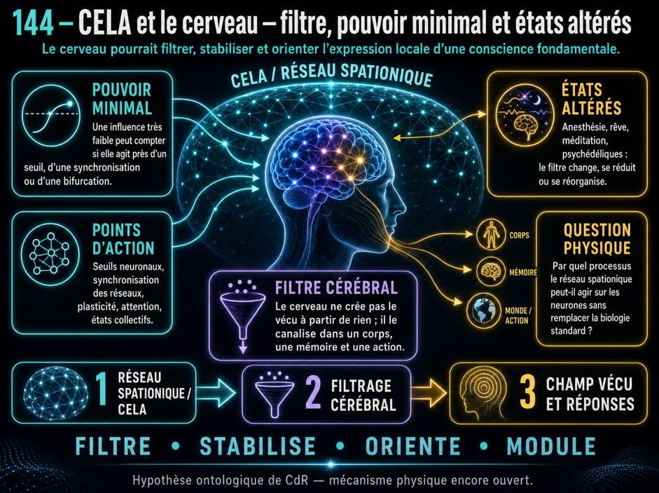 CELA et le cerveau, filtre, pouvoir minimal et états altérés.