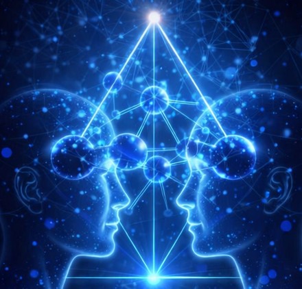 Perception et réseau systémique